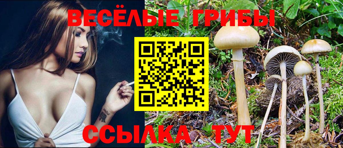 Псилоцибиновые грибы MAGIC MUSHROOMS  Псилоцибиновые грибы GOLDEN TEACHER  Вход с VPN  Солнечногорск 